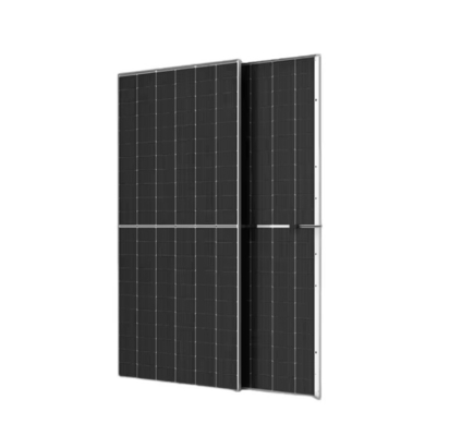 Modulo solar de vidro duplo Trina 645W 650W 655W 660W 665W Modulo fotovoltaico TSM-DEG21C.20